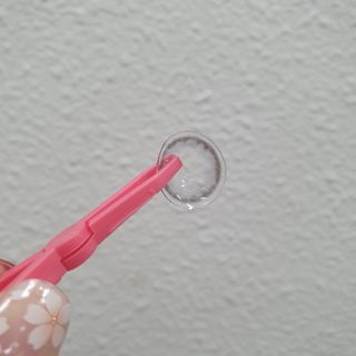 김뽀님이 올린 리뷰 사진 4