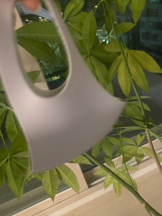 jjjj님이 올린 리뷰 사진 3