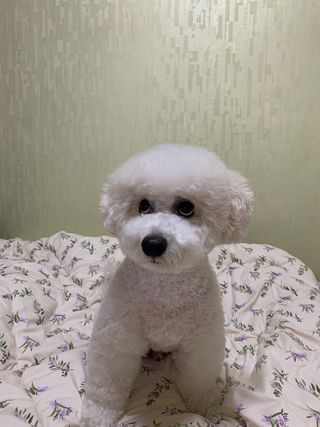 bk6329님이 올린 리뷰 사진 3