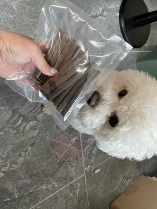 My Pet Care 천연단백질 치아건강에 개좋아 — 5점을 준 리뷰어가 2021년 3월 올린 사용 사진