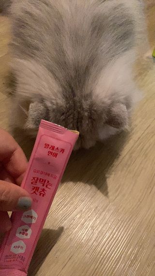 페페로니 잘 먹는 캣츄 - 무항생제 닭고기 12개 + 알래스카 연어 12개 — 5점을 준 리뷰어가 2021년 8월 올린 사용 사진