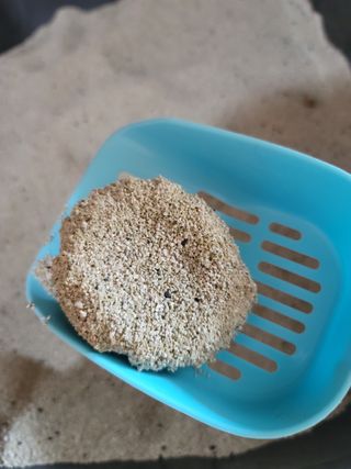 서빵맘님이 올린 리뷰 사진 4