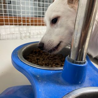 은영님이 올린 리뷰 사진 2