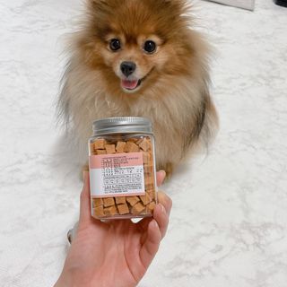 페페로니 진짜 오메가3 연어+소고기 180g+180g — 5점을 준 리뷰어가 2021년 7월 올린 사용 사진