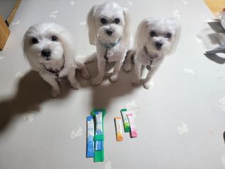 공팔리터님이 올린 리뷰 사진 2