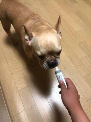 보노엄마님이 올린 리뷰 사진 3