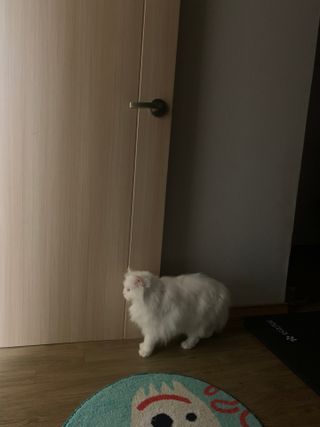 례진님이 올린 리뷰 사진 3