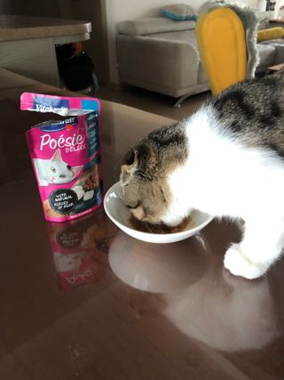 시월탱이님이 올린 리뷰 사진 3