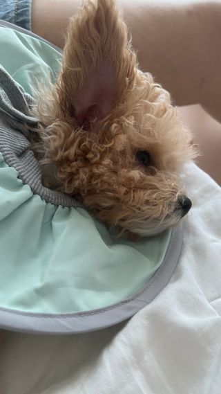 스피님이 올린 리뷰 사진 3
