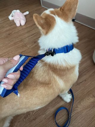 샤넬젤라님이 올린 리뷰 사진 3