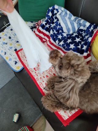 나초단맘님이 올린 리뷰 사진 4