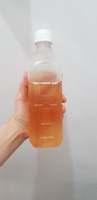 뉴트리션팩토리 하드코어버닝티 오리지널 — 3점을 준 리뷰어가 2021년 9월 올린 사용 사진