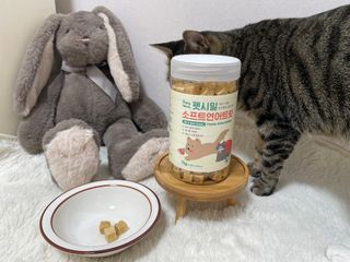[펫시밀] 원물그대로 영양듬뿍 진공동결건조 북어트릿75g,치킨트릿100g,연어트릿75g 강아지 고양이 간식 — 5점을 준 리뷰어가 2023년 5월 올린 사용 사진