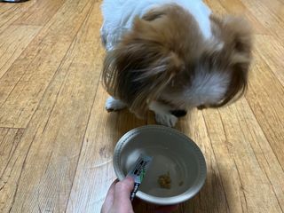 다즐링님이 올린 리뷰 사진 3