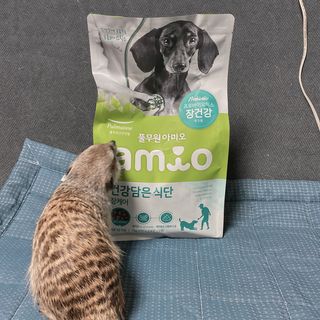 Lilly❤️님이 올린 리뷰 사진 1
