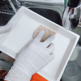 리라꼬마님이 올린 리뷰 사진 4