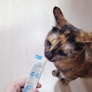 JENNY님이 올린 리뷰 사진 1