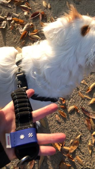 ㅇㅅㅇ님이 올린 리뷰 사진 2