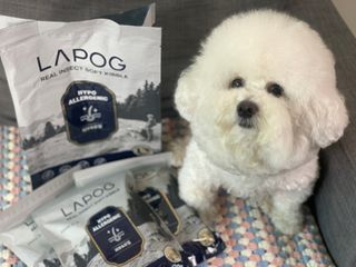 [푸디웜] 라포그 리얼인섹트 소프트키블 스킨 1KG — 5점을 준 리뷰어가 2022년 9월 올린 사용 사진