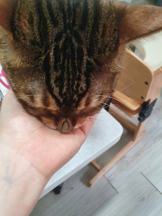 윤짱님이 올린 리뷰 사진 3
