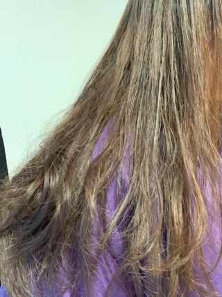 오뎅님이 올린 리뷰 사진 2