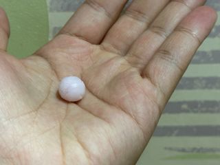 김햇살님이 올린 리뷰 사진 2