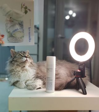 시묘님이 올린 리뷰 사진 1