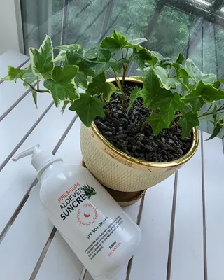 [닥터문] 프리미엄 알로에베라 선크림 500ml — 5점을 준 리뷰어가 2022년 6월 올린 사용 사진