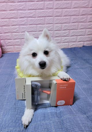 블리블리♡은블리♡님이 올린 리뷰 사진 3
