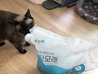 Criss님이 올린 리뷰 사진 2