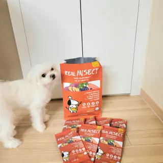 [푸디웜] 라포그  리얼인섹트 관절 저알러지 강아지 사료  1.2KG — 5점을 준 리뷰어가 2022년 8월 올린 사용 사진