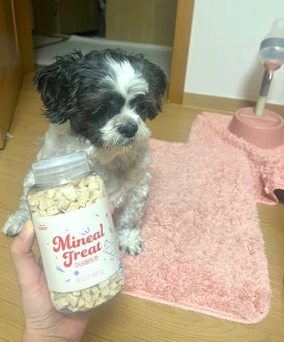 프롬씨 미네랄 소고기트릿 / 미네랄 치킨트릿 / 미네랄 북어트릿 (3가지 상품 중 랜덤 1가지 상품 랜덤 발송) — 5점을 준 리뷰어가 2022년 11월 올린 사용 사진