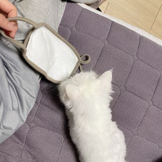 noname님이 올린 리뷰 사진 3