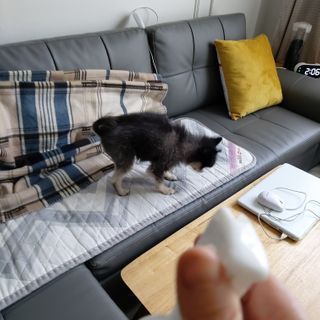 복도리님이 올린 리뷰 사진 2