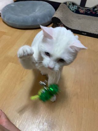 모너아리님이 올린 리뷰 사진 4