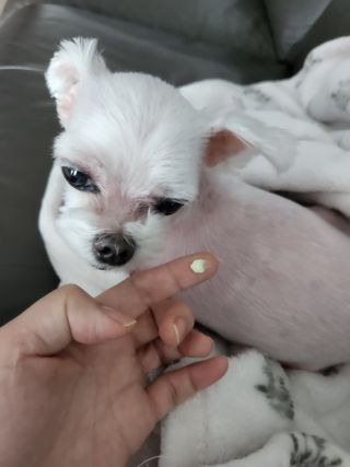 찌니님이 올린 리뷰 사진 4