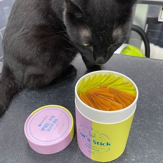 페페로니 맛있는 스틱 - 무항생제 닭고기 15개 + 원양선 참치 15개 — 4점을 준 리뷰어가 2021년 8월 올린 사용 사진