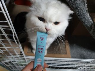 옹알이님이 올린 리뷰 사진 4