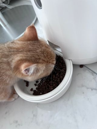 이채오닝님이 올린 리뷰 사진 3