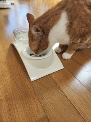 호야맘님이 올린 리뷰 사진 2