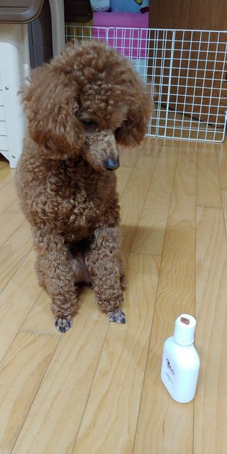 보습 촉촉 린스가 필요 없는 코코몰리 올인원 자연 유래 샴푸 130ml — 5점을 준 리뷰어가 2021년 1월 올린 사용 사진