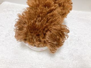 연이님이 올린 리뷰 사진 3