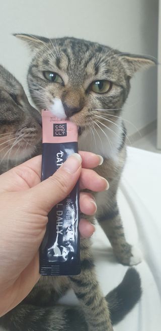 코코몰리 고양이 구강• 헤어볼 데일리 /신장• 요로 데일리 — 5점을 준 리뷰어가 2021년 1월 올린 사용 사진