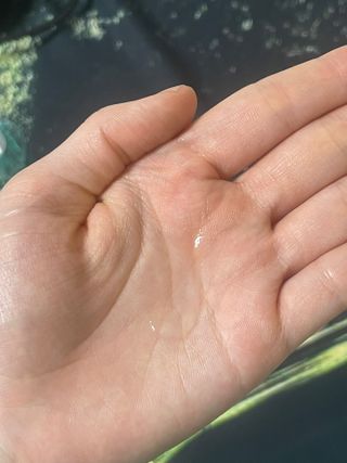 냠냠이님이 올린 리뷰 사진 4