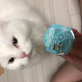 하루님이 올린 리뷰 사진 2