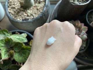sorakim님이 올린 리뷰 사진 2