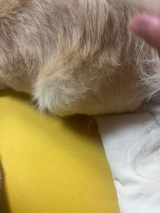 Lucy님이 올린 리뷰 사진 3