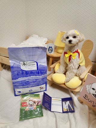캐닌캐비어 알카라인 홀리스틱 그레이프리 앙뜨레 ALS_4종 오픈스카이, 와일드오션, 프리스피릿, 스페셜니즈 — 4점을 준 리뷰어가 2023년 4월 올린 사용 사진