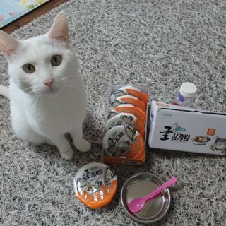 코코야옹님이 올린 리뷰 사진 1