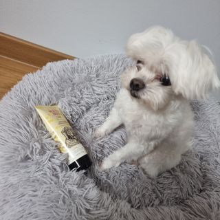 리니님이 올린 리뷰 사진 1